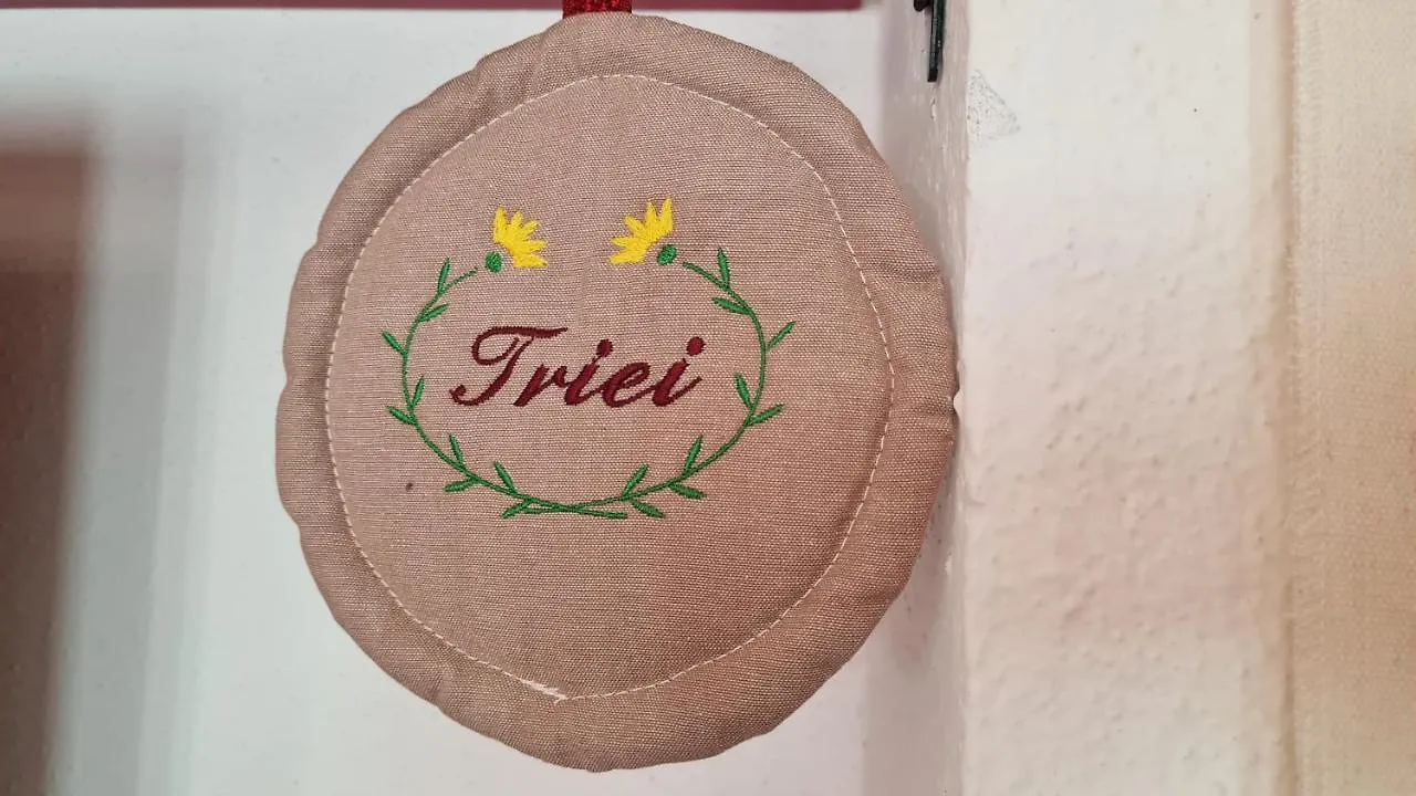 Domu Irene - Triei Daire